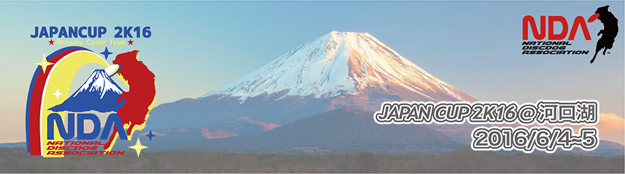 NDA Japan Cup 2013